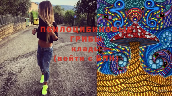 a pvp Богородск