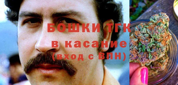 mdpv Белокуриха