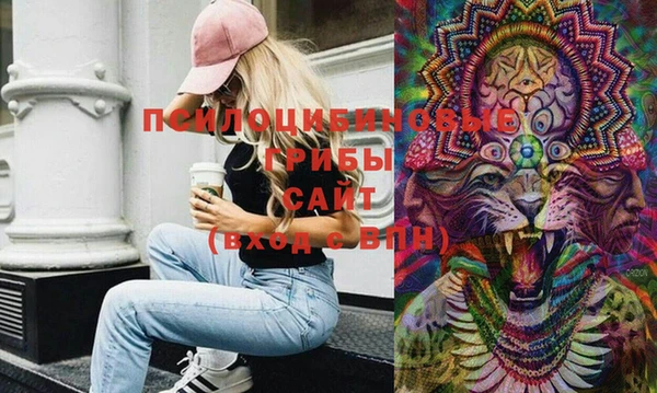 mdpv Белокуриха
