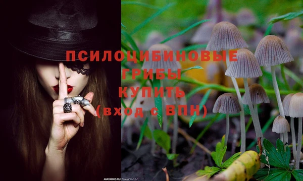 ГАЛЛЮЦИНОГЕННЫЕ ГРИБЫ Беломорск