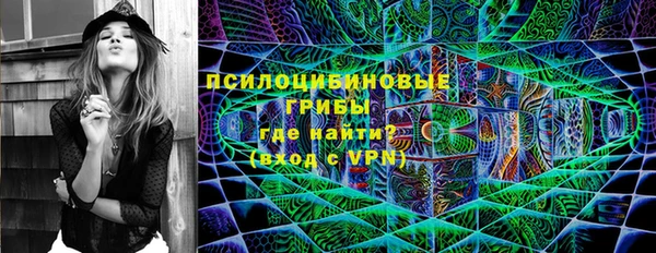 ГАЛЛЮЦИНОГЕННЫЕ ГРИБЫ Беломорск