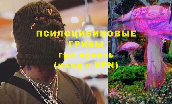 mdpv Белокуриха