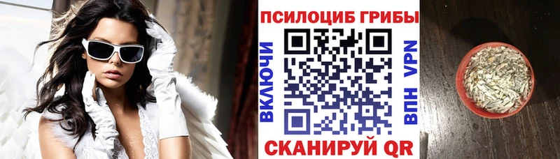 Галлюциногенные грибы Psilocybine cubensis Бодайбо