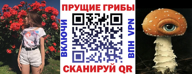 Галлюциногенные грибы Magic Shrooms  Бодайбо 